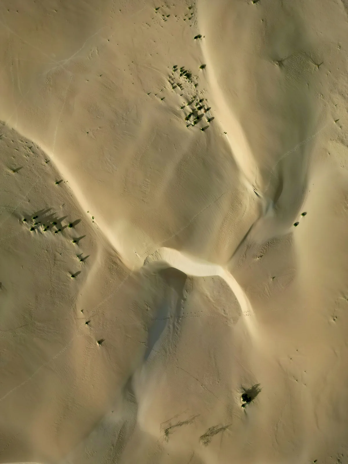 Dunas de arena de Fuerteventura